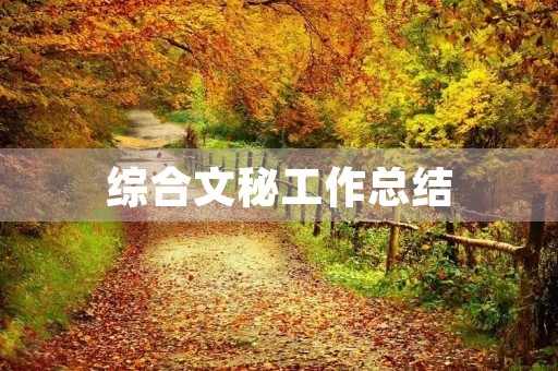 综合文秘工作总结 综合文秘工作总结