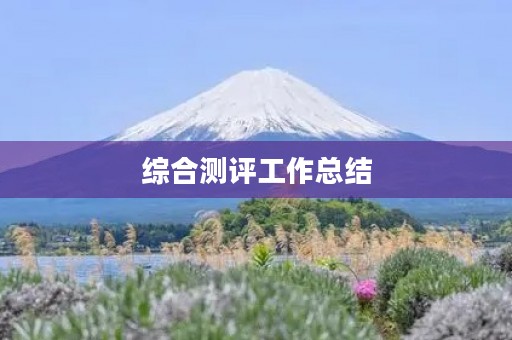 综合测评工作总结