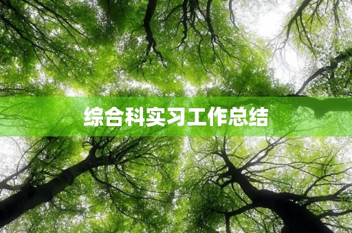 综合科实习工作总结