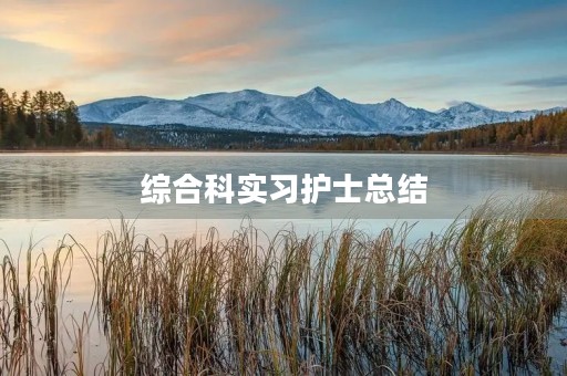 综合科实习护士总结