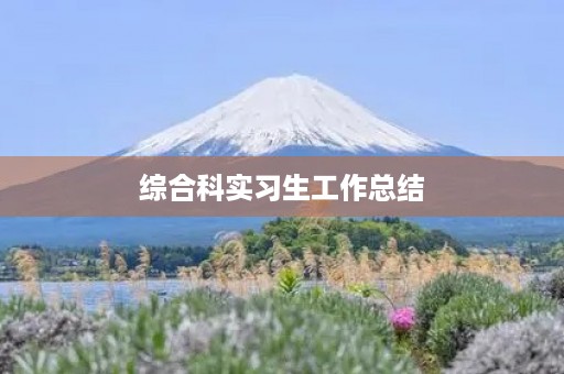 综合科实习生工作总结