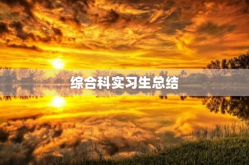 综合科实习生总结