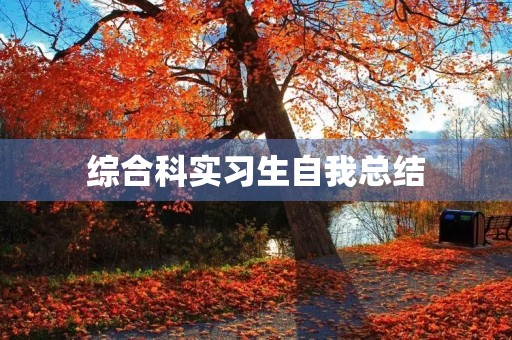 综合科实习生自我总结