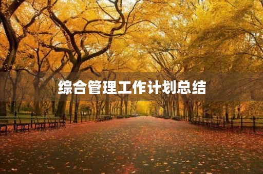 综合管理工作计划总结