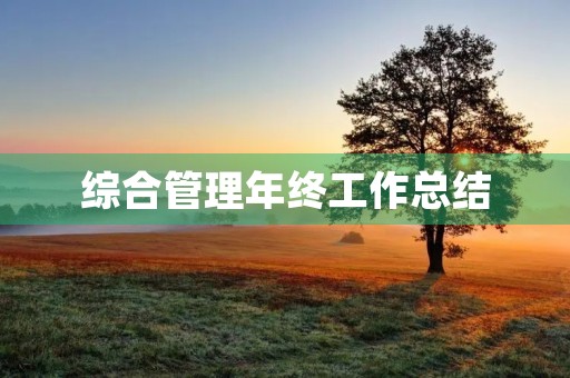 综合管理年终工作总结