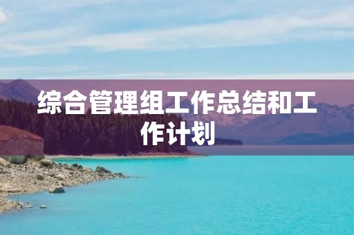 综合管理组工作总结和工作计划