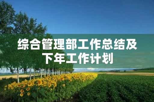 综合管理部工作总结及下年工作计划