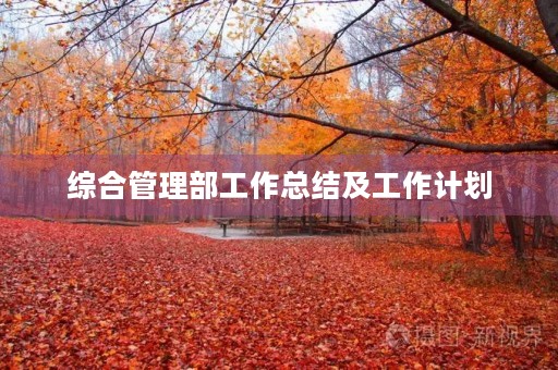综合管理部工作总结及工作计划