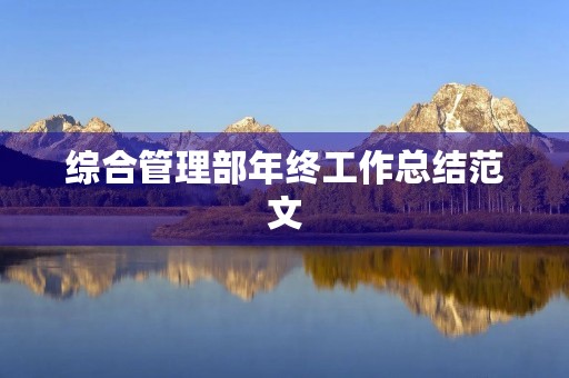 综合管理部年终工作总结范文