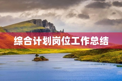 综合计划岗位工作总结