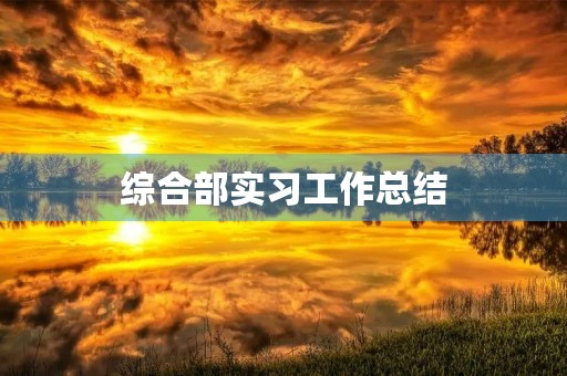 综合部实习工作总结