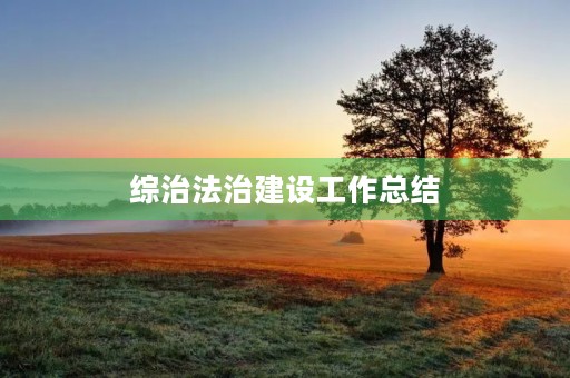 综治法治建设工作总结