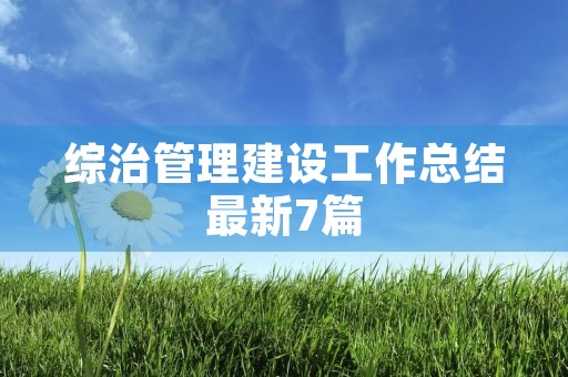 综治管理建设工作总结最新7篇