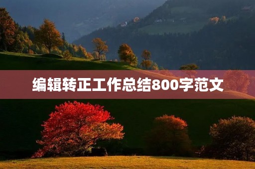 编辑转正工作总结800字范文