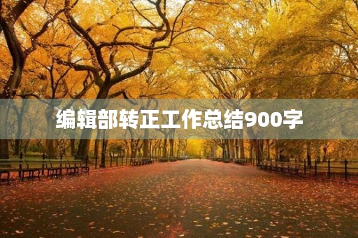 编辑部转正工作总结900字