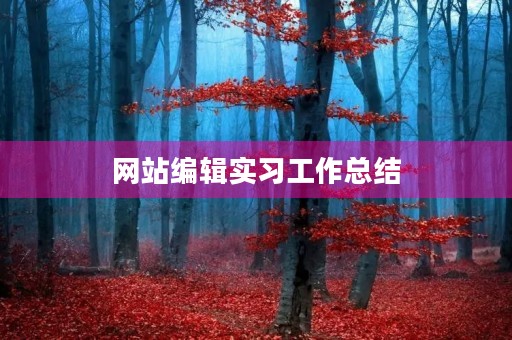 网站编辑实习工作总结 网站编辑实习工作总结