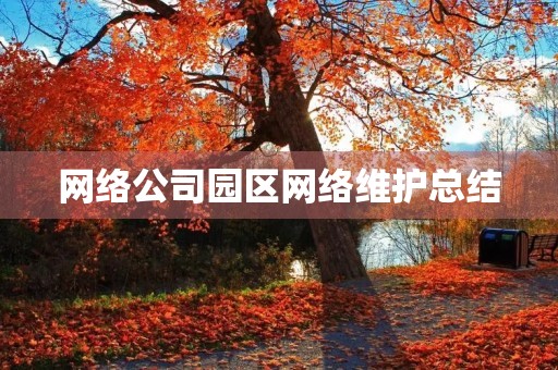 网络公司园区网络维护总结