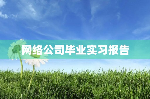 网络公司毕业实习报告 网络公司毕业实习报告