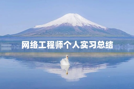 网络工程师个人实习总结