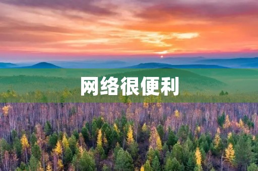网络很便利 网络很便利