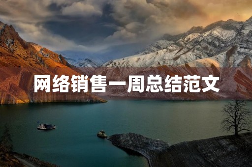 网络销售一周总结范文