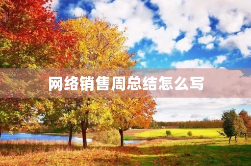 网络销售周总结怎么写