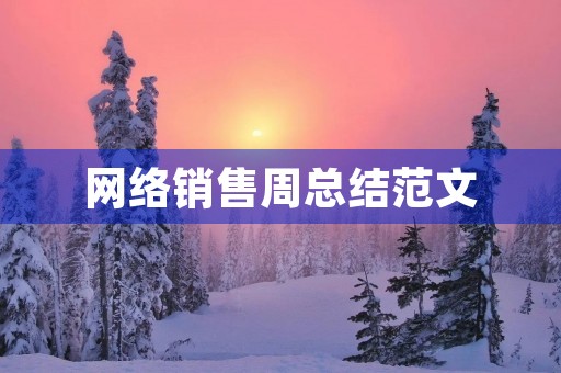 网络销售周总结范文