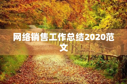 网络销售工作总结2020范文