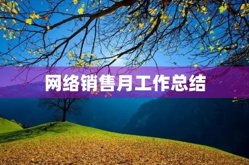 网络销售月工作总结