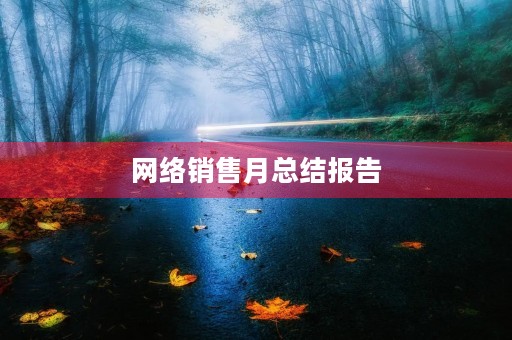 网络销售月总结报告