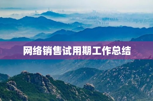 网络销售试用期工作总结