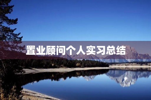 置业顾问个人实习总结