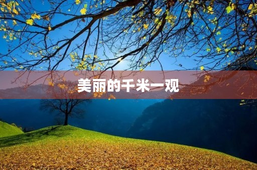 美丽的千米一观