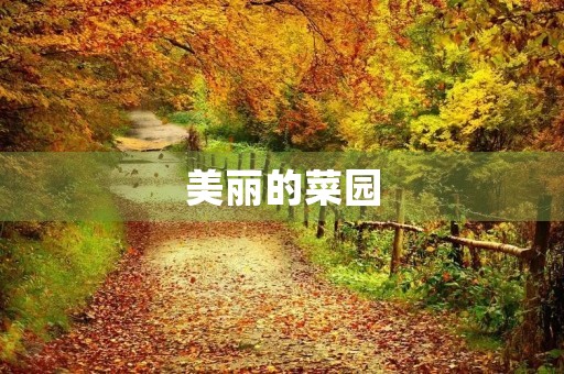 美丽的菜园