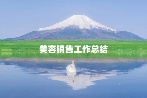 美容销售工作总结