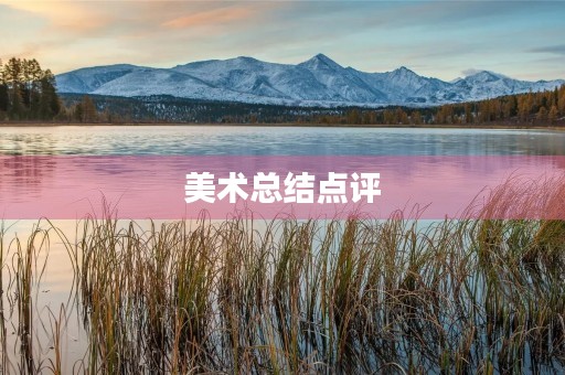 美术总结点评