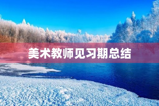 美术教师见习期总结