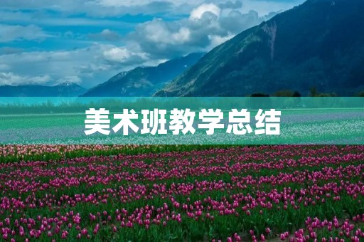 美术班教学总结
