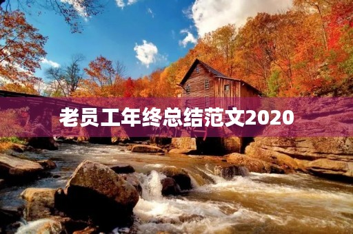 老员工年终总结范文2020