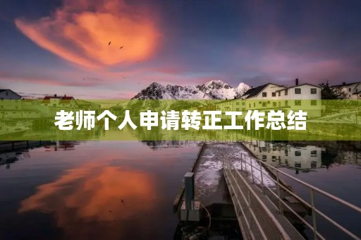 老师个人申请转正工作总结