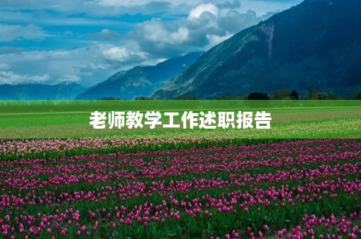 老师教学工作述职报告