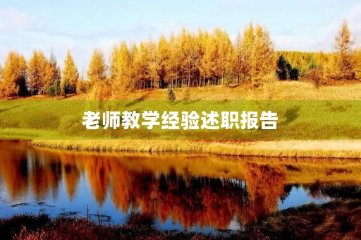 老师教学经验述职报告