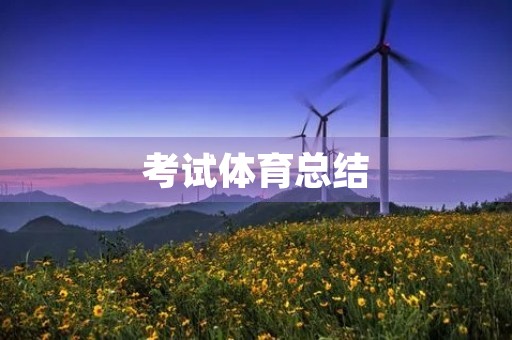 考试体育总结
