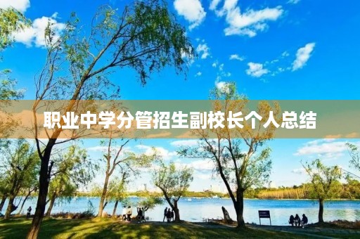 职业中学分管招生副校长个人总结