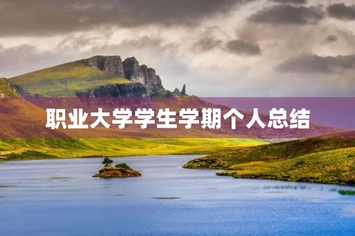 职业大学学生学期个人总结