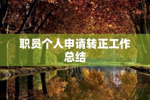 职员个人申请转正工作总结