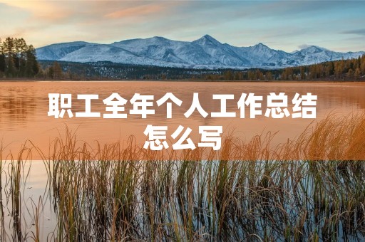 职工全年个人工作总结怎么写