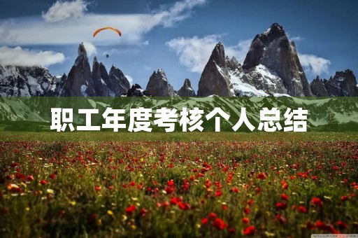 职工年度考核个人总结