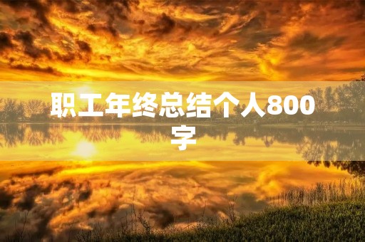 职工年终总结个人800字