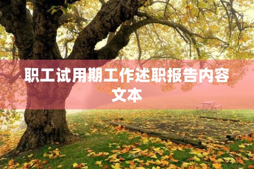 职工试用期工作述职报告内容文本